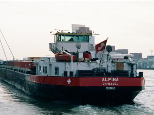 Alpina-Vela von hinten