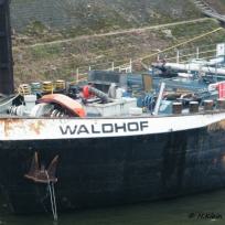 Waldhof am 19.02.11 im Duisburger Kultushafen